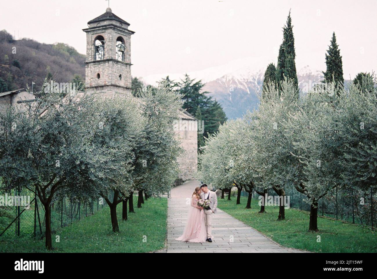 Bride and groom stand in an olive grove against the backdrop of a ...