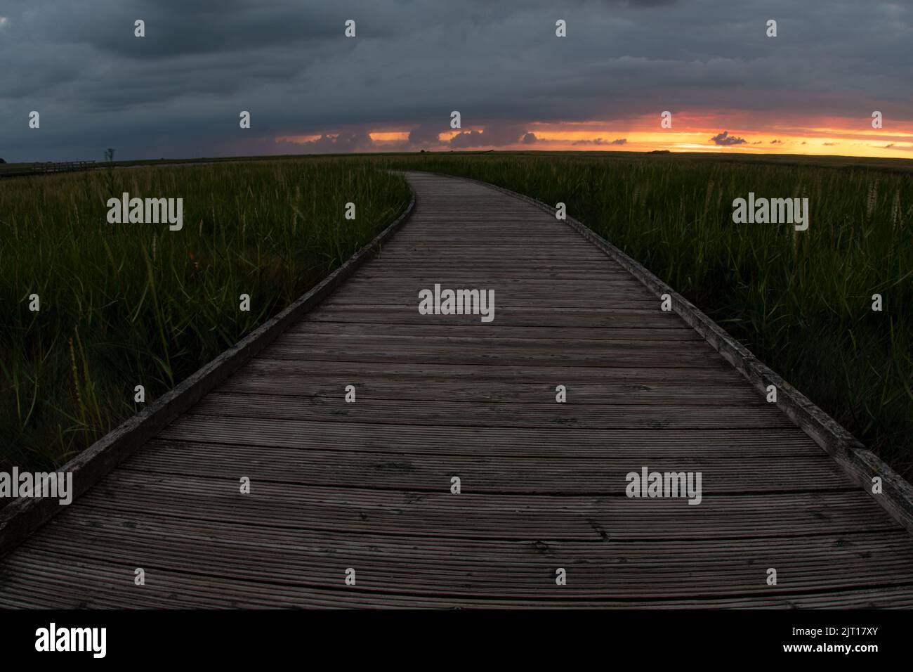 Sonnenuntergang in den Salzwiesen Stock Photo