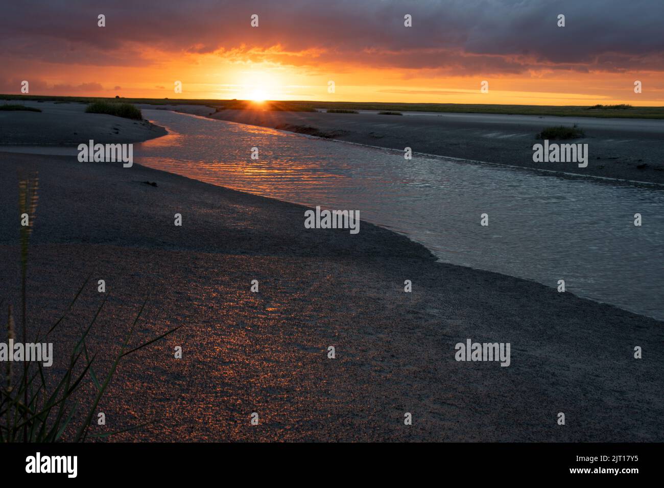 Sonnenuntergang in den Salzwiesen Stock Photo