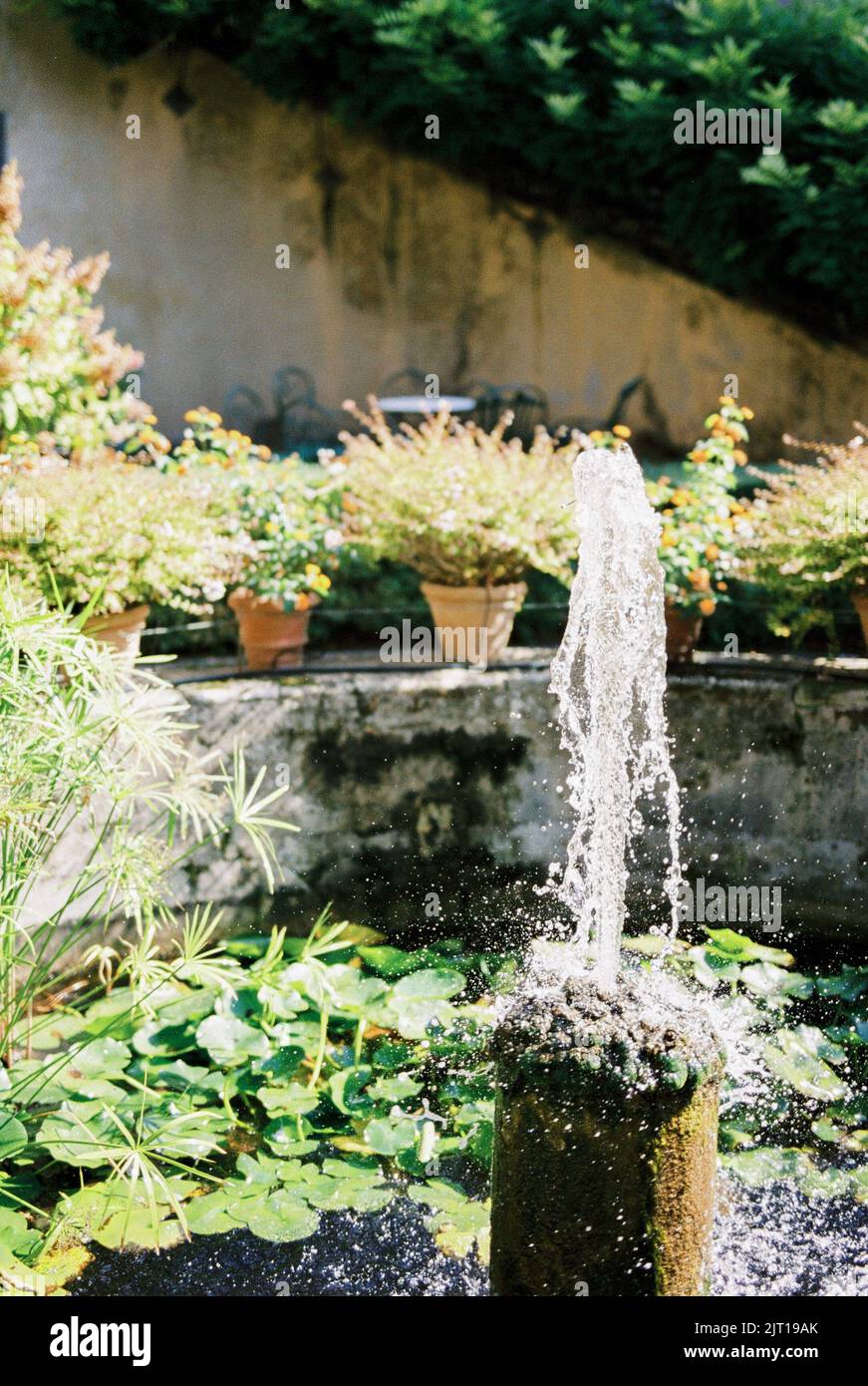 Sparkling water in a fountain surrounded by water lilies and flowerpots