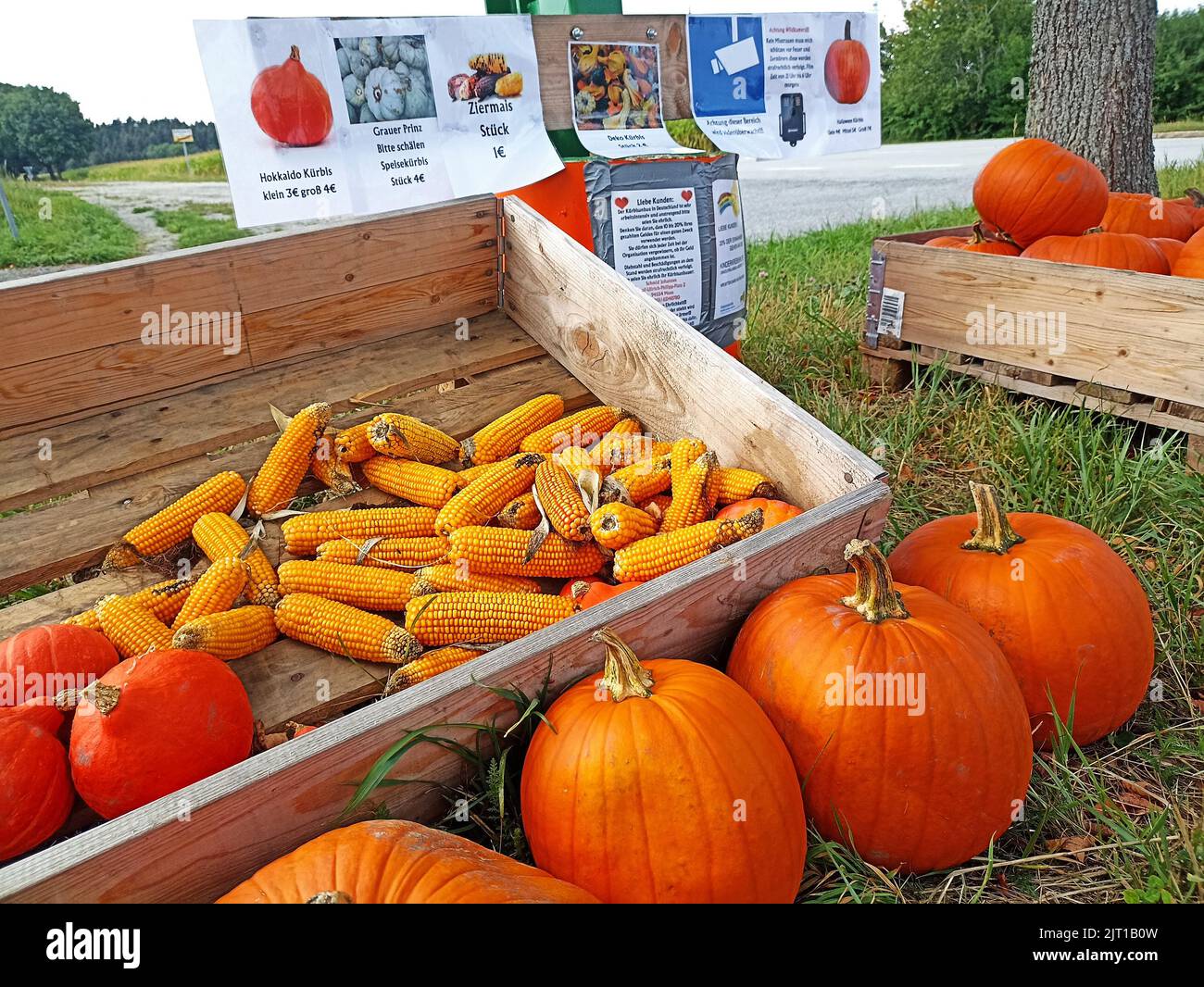 Rathsmannsdorf, Bavaria, Germany - August 27, 2022: German farmers often sell their crops along the roads. At the same time, everyone can choose the vegetable he likes and pay for it by simply putting money into a piggy bank. The picture shows a cart with pumpkins and corn in Lower Bavaria. Stock Photo