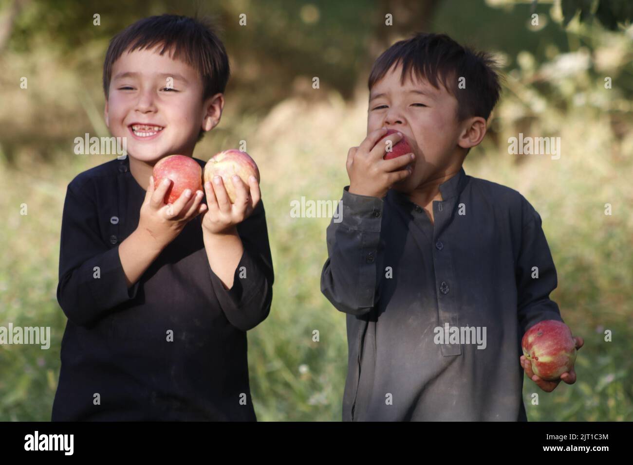 Samangan, Afghanistan. 25th Aug, 2022. Afghan children eat apples in Samangan province, Afghanistan, Aug 25, 2022. Credit: Khibar Momand/Xinhua/Alamy Live News Stock Photo