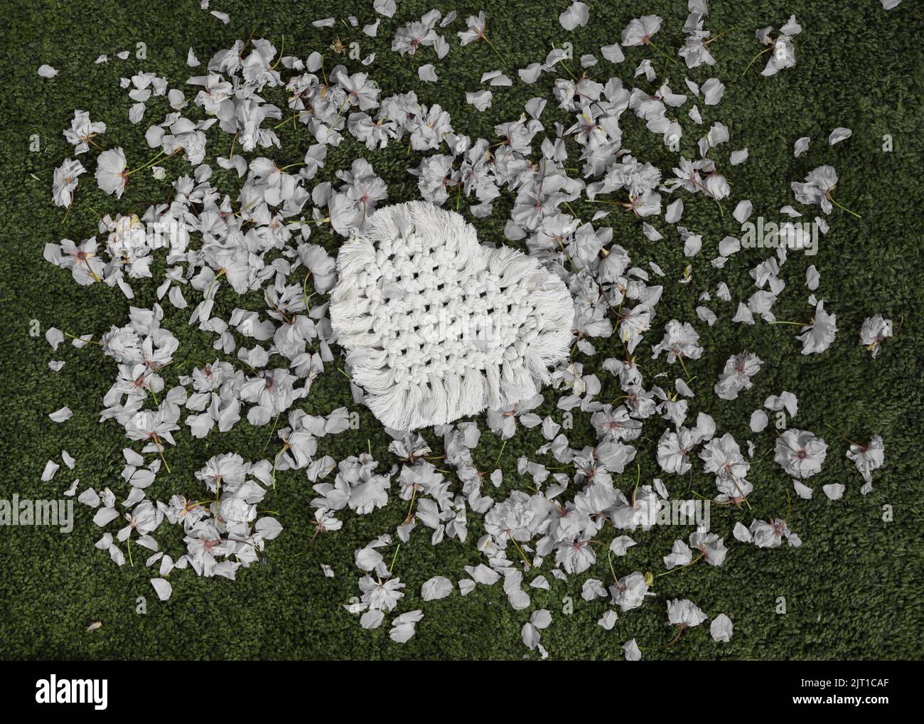 newborn-background-backdrop-crochet-white-heart-on-a-bed-of-real-cherry
