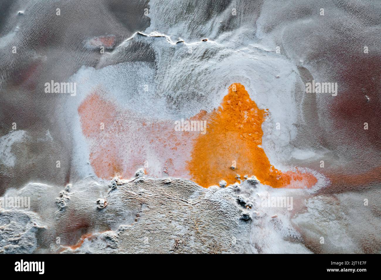WY05025-00....WYOMING - Detail of geyser runnoff in the Upper Geyser Basin of the Old Faithful area of Yellowstone National Park. Stock Photo