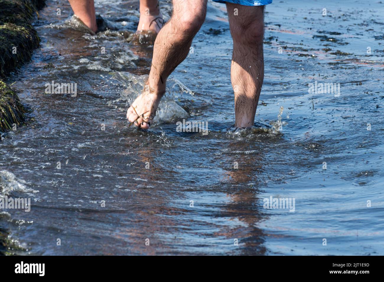 Sopot, Poland. 27th Aug, 2022. Sopot beach is closed because of Cyanobacteria bloom during the last hot days Credit: Wojciech Strozyk/Alamy Live News Stock Photo