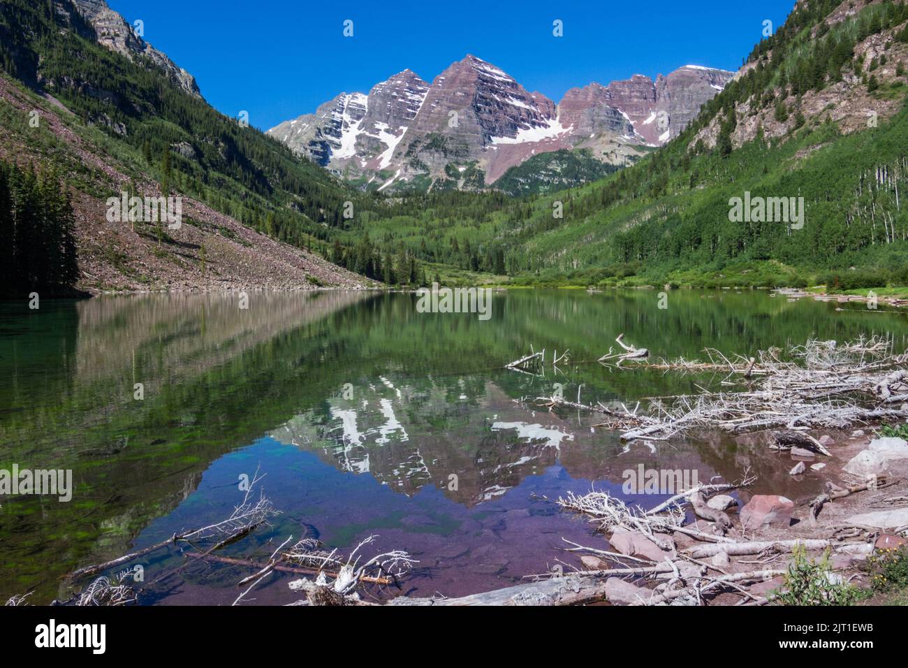 Aspens from winter avalanches frame a perfect reflection of Colorado’s Maroon Bells in mid-summer Stock Photo