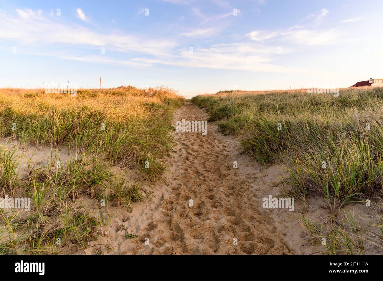 Empty trail through grassy sand dunes at sunset in autumn Stock Photo