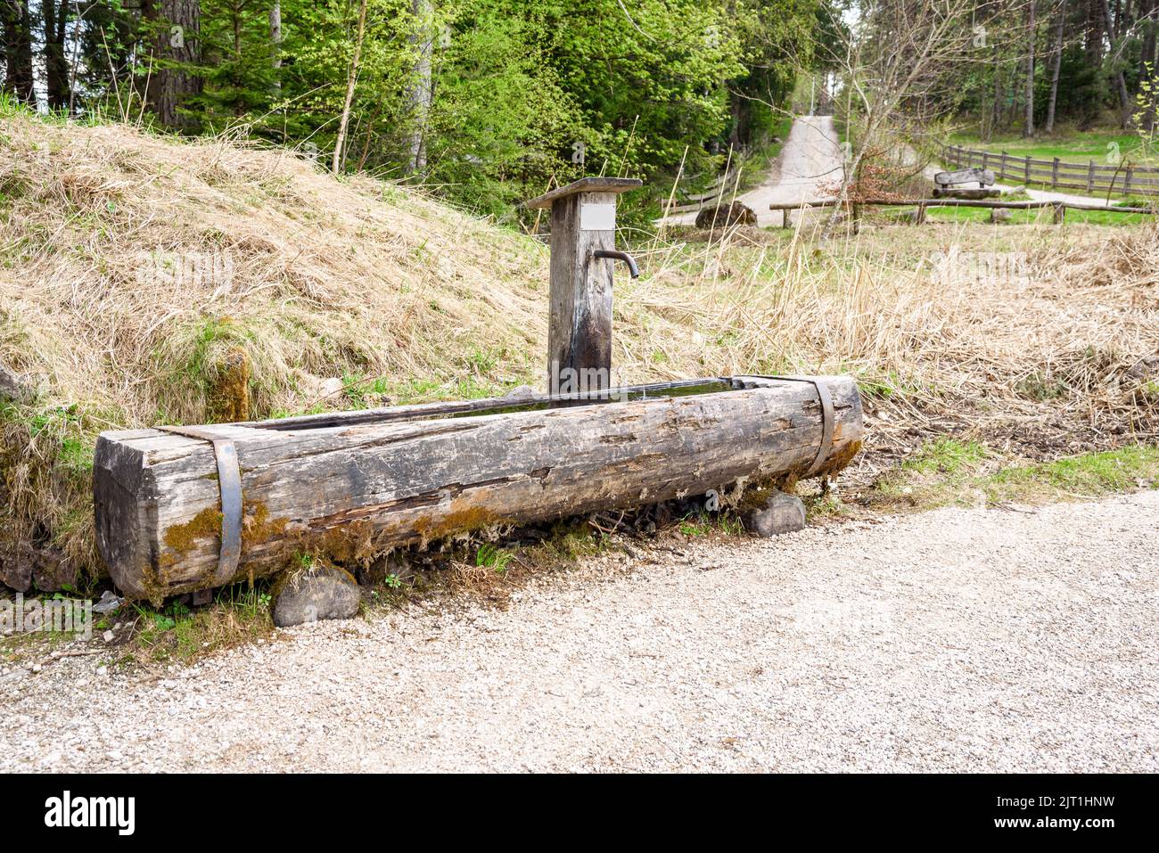 Old dinking fountain made with a tree trunk along a gravel path in the mountains Stock Photo