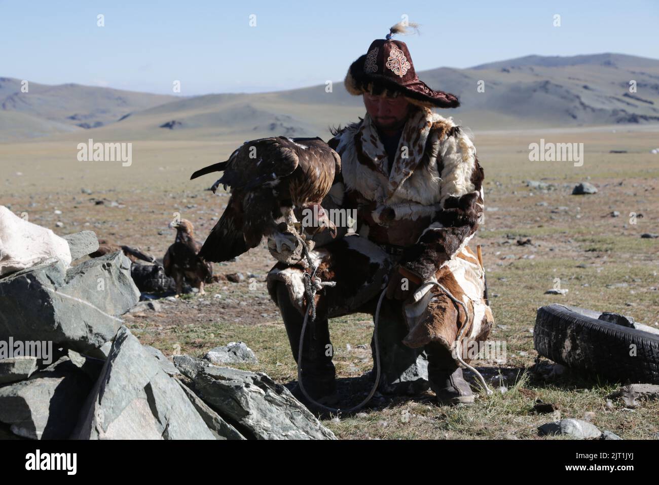 in the land of mongolia the nature and environment Stock Photo - Alamy