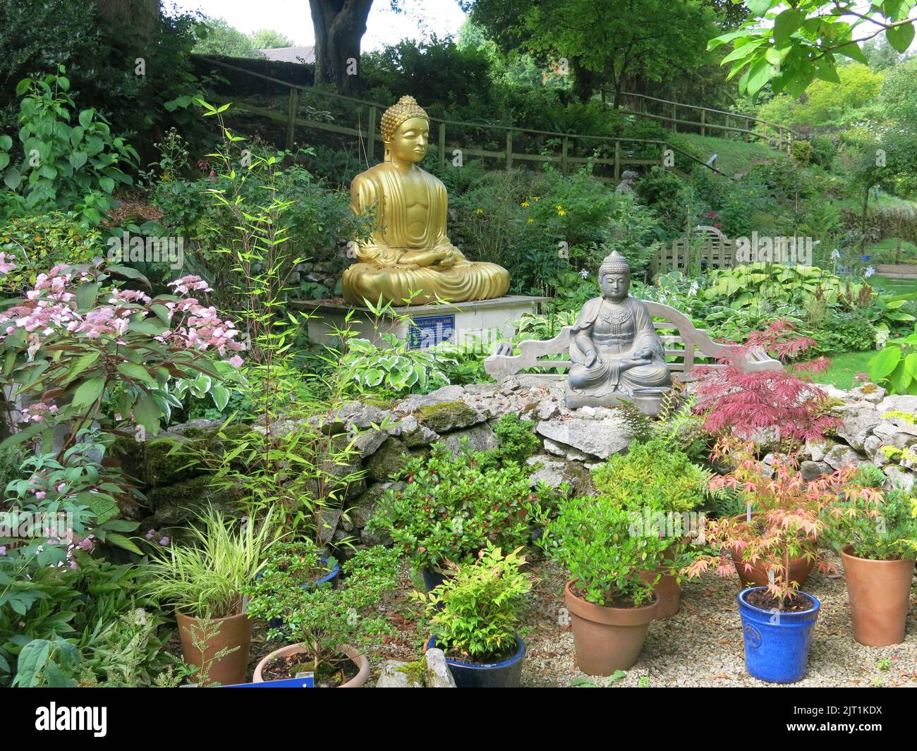 With acers and Buddhist statues, Cascades Garden in Derbyshire draws its inspiration from traditional Japanese gardens and the philosophy of Buddhism. Stock Photo