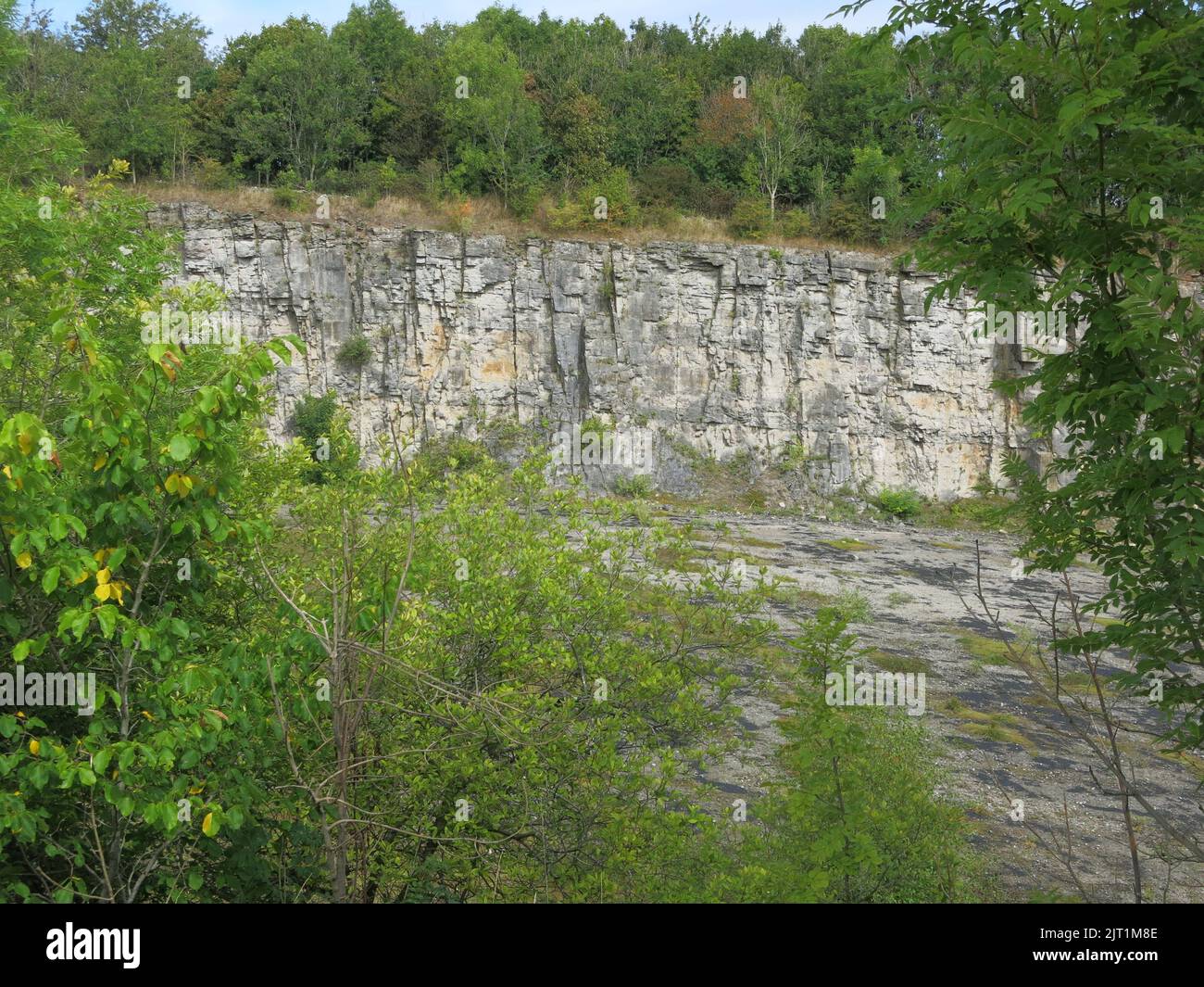 Set within former limestone quarries on the edge of the Peak District, the quarry face is clearly visible with its geological ages of rock formations. Stock Photo