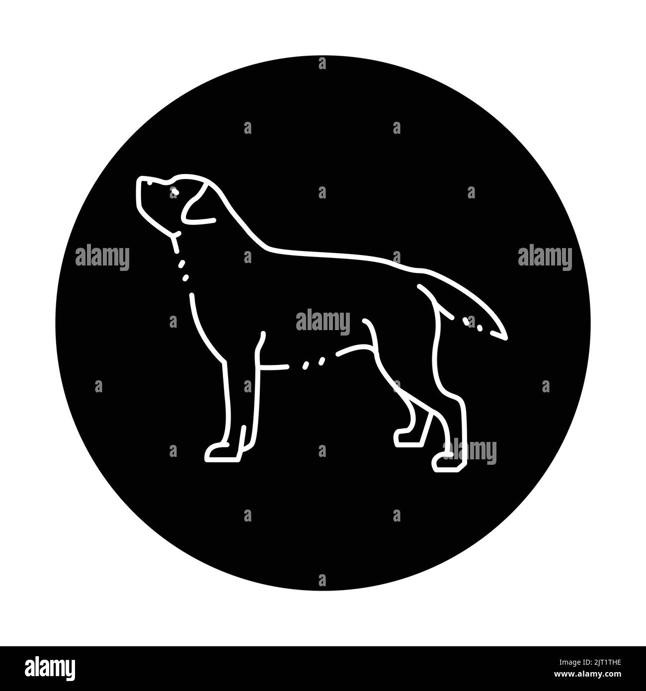Labrador retriever color line icon. Dog breed. Pictogram for web page