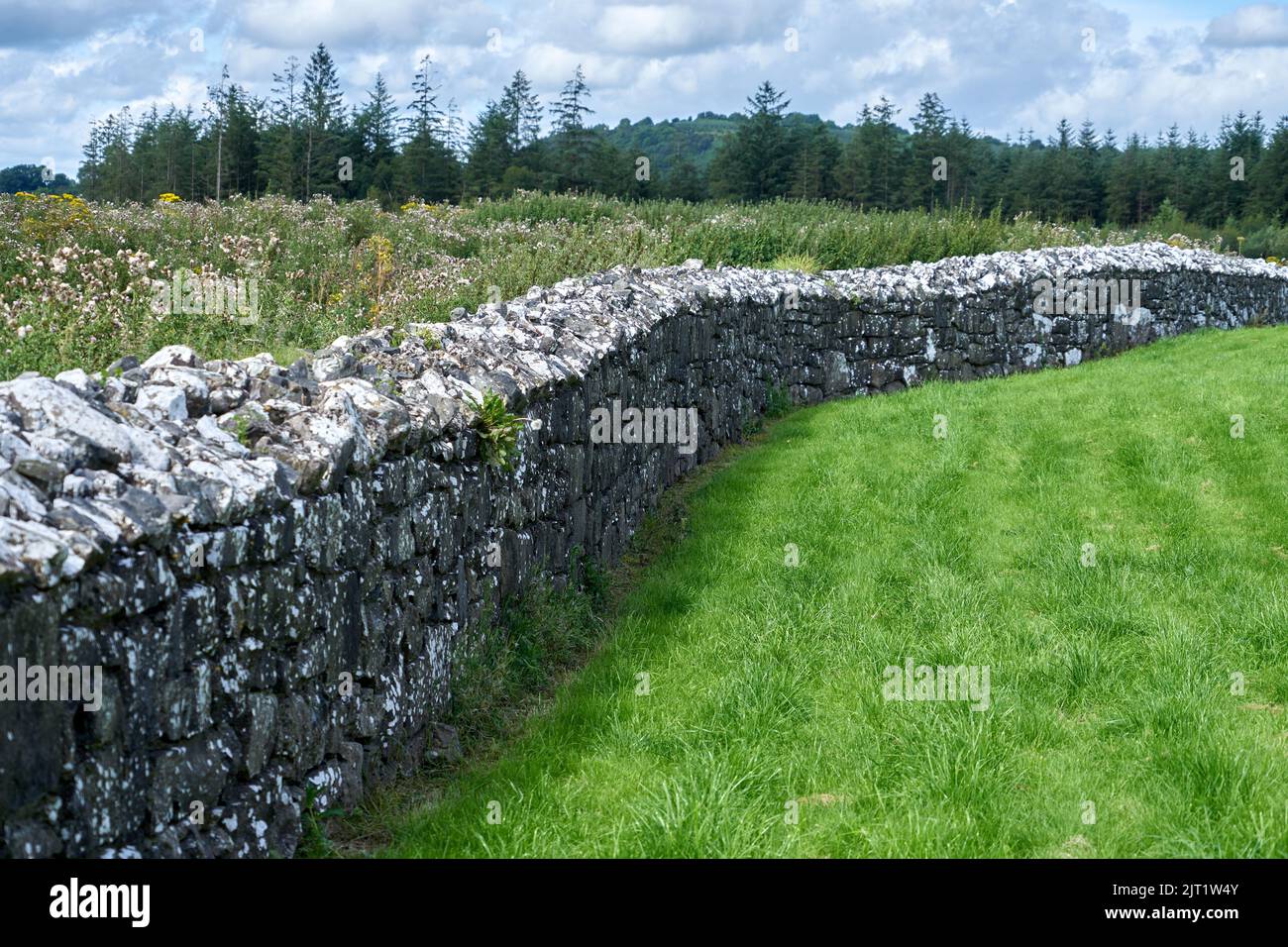 A long stone wall dividing overgrown grass from a manicured green lawn. Stock Photo