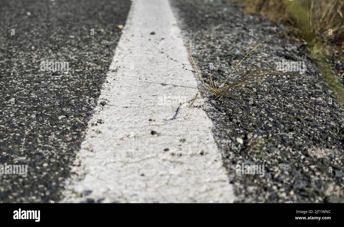 Detail of lines on a road, road safety Stock Photo Alamy
