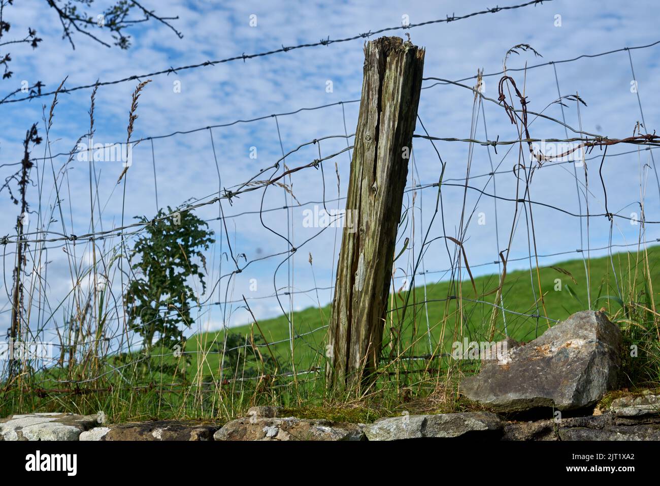 An old fence on the side of a green hill with an old wooden post Stock
