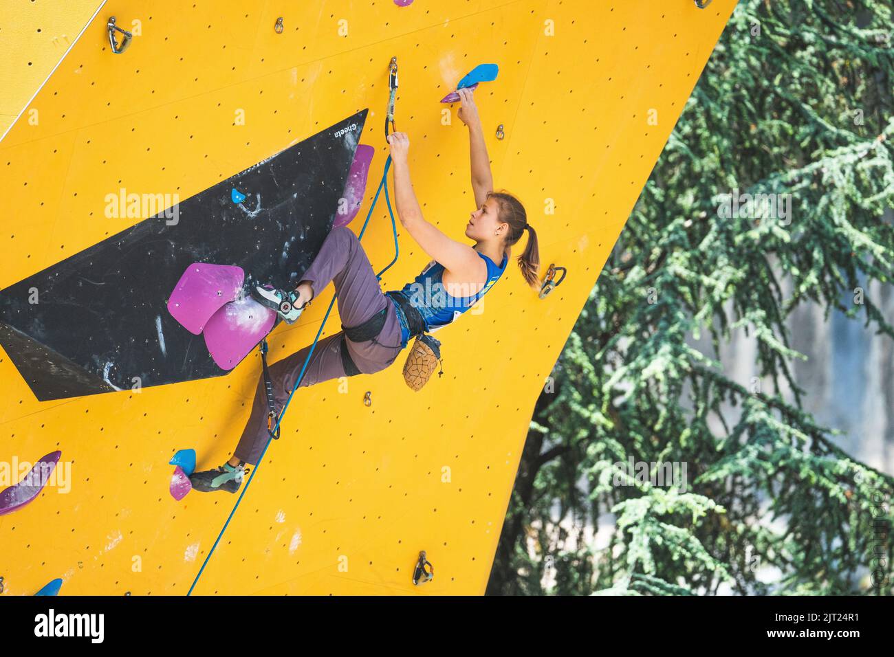 A young pretty Ukrainian lady athlete climber climbing on the yellow and blue wall on the