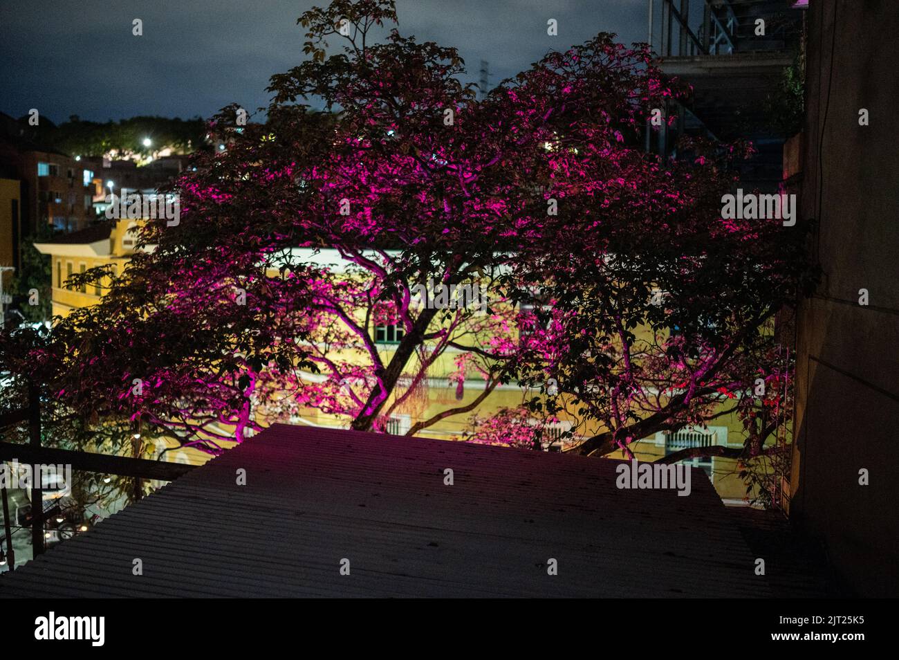 Illuminated trees in Elsa Cafe restaurant in El Peñon area of Cali, Colombia Stock Photo