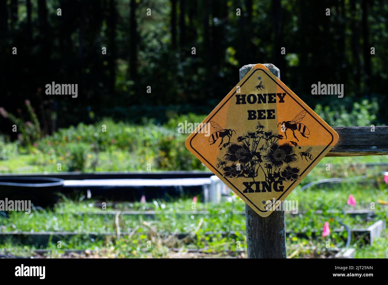 Closeup honey bee crossing sign at a garden - protect the bees Stock Photo