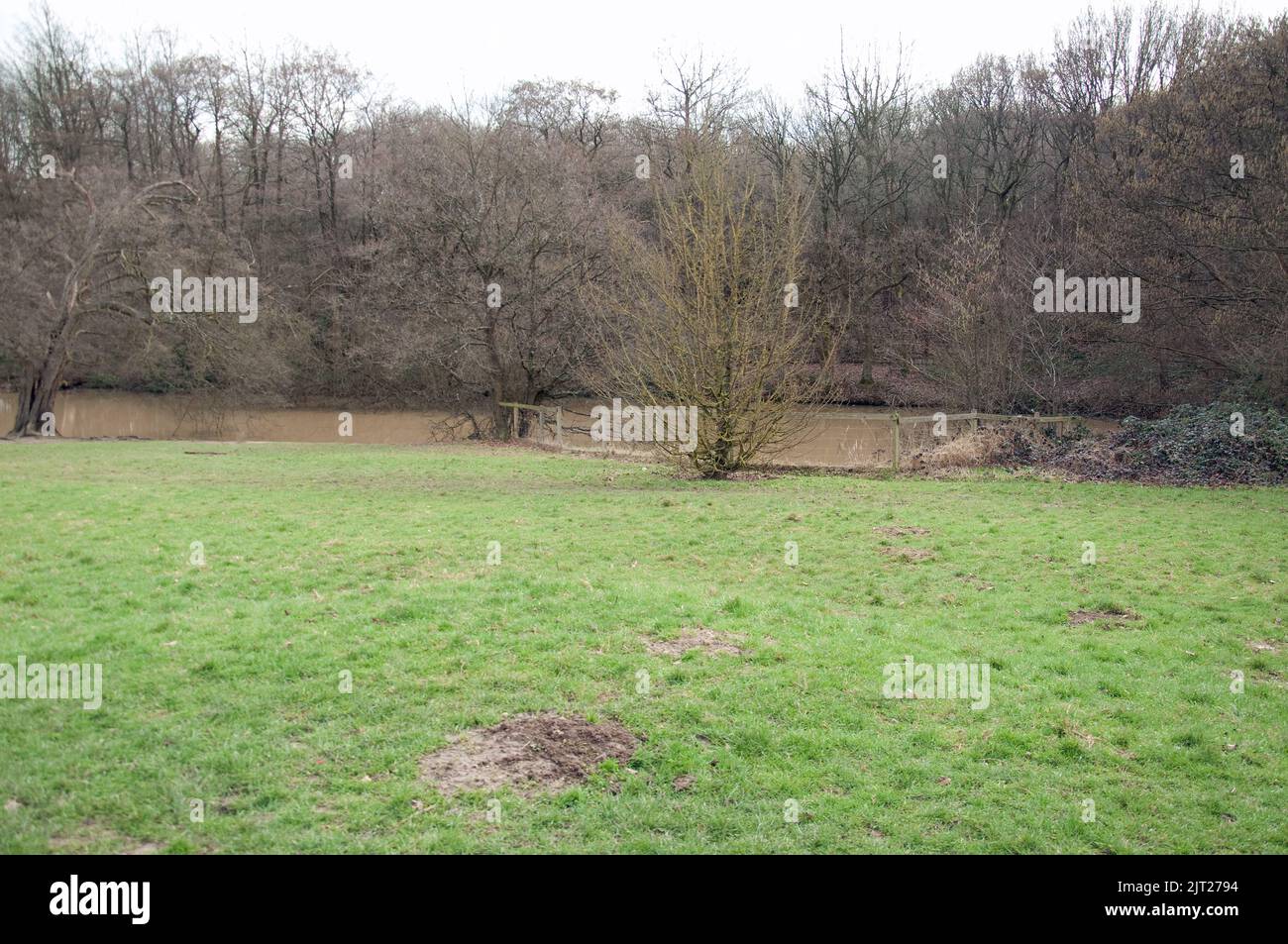 Trent Country Park, London's Green Belt, Enfield, Greater London, UK