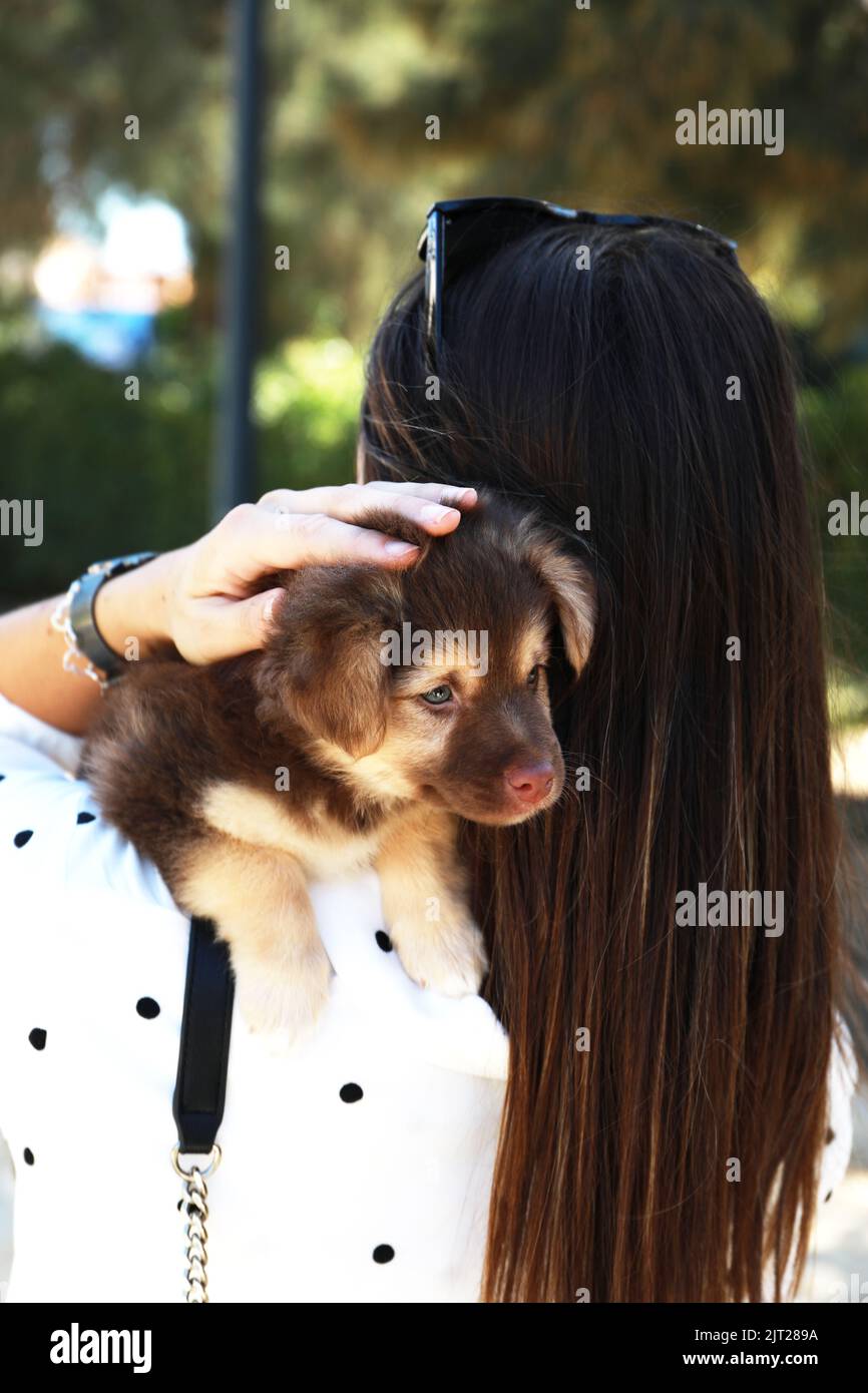 Woman with dog on shoulder hi-res stock photography and images - Alamy