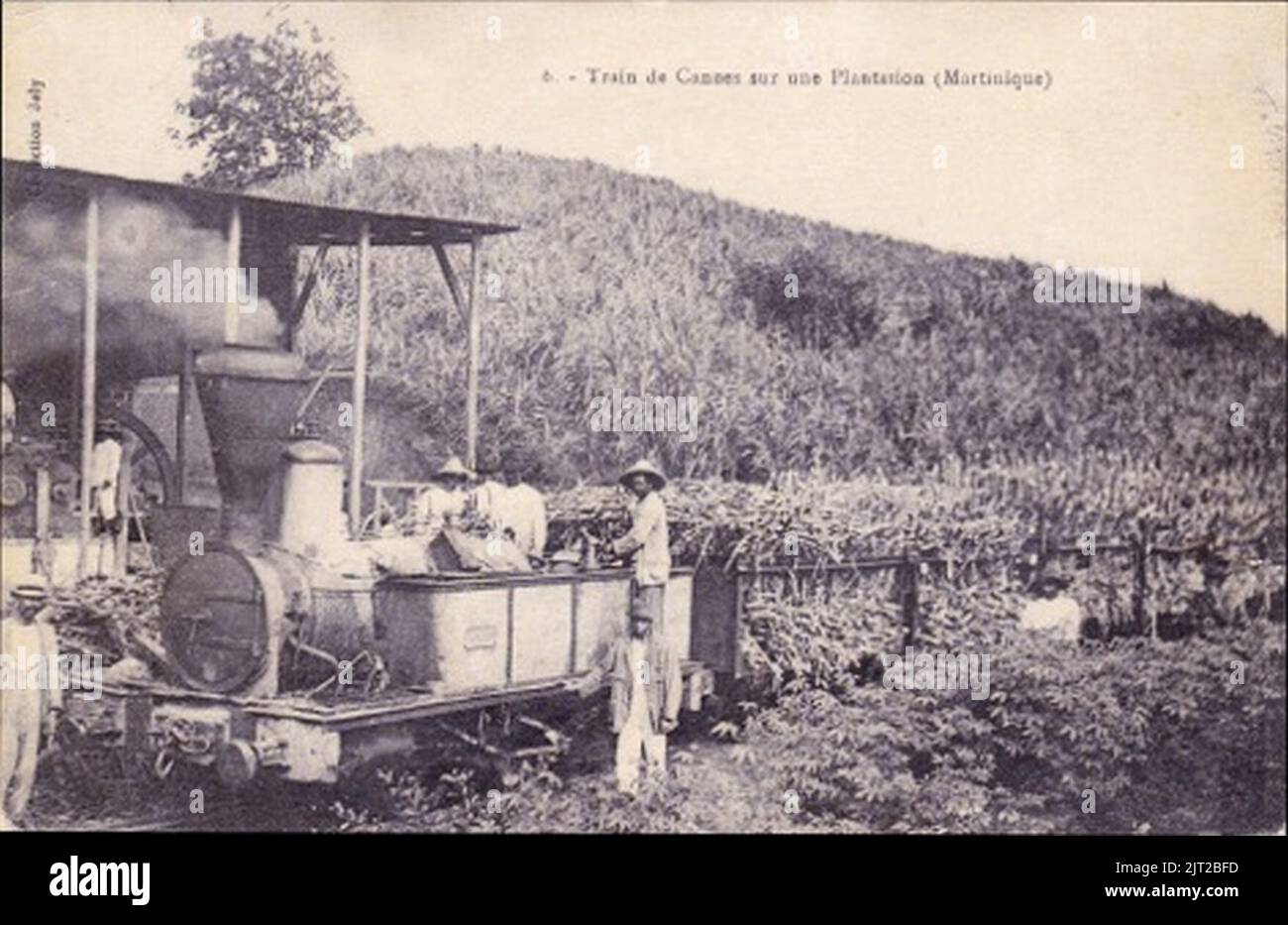 Train de canne a sucre sur une plantation. Stock Photo