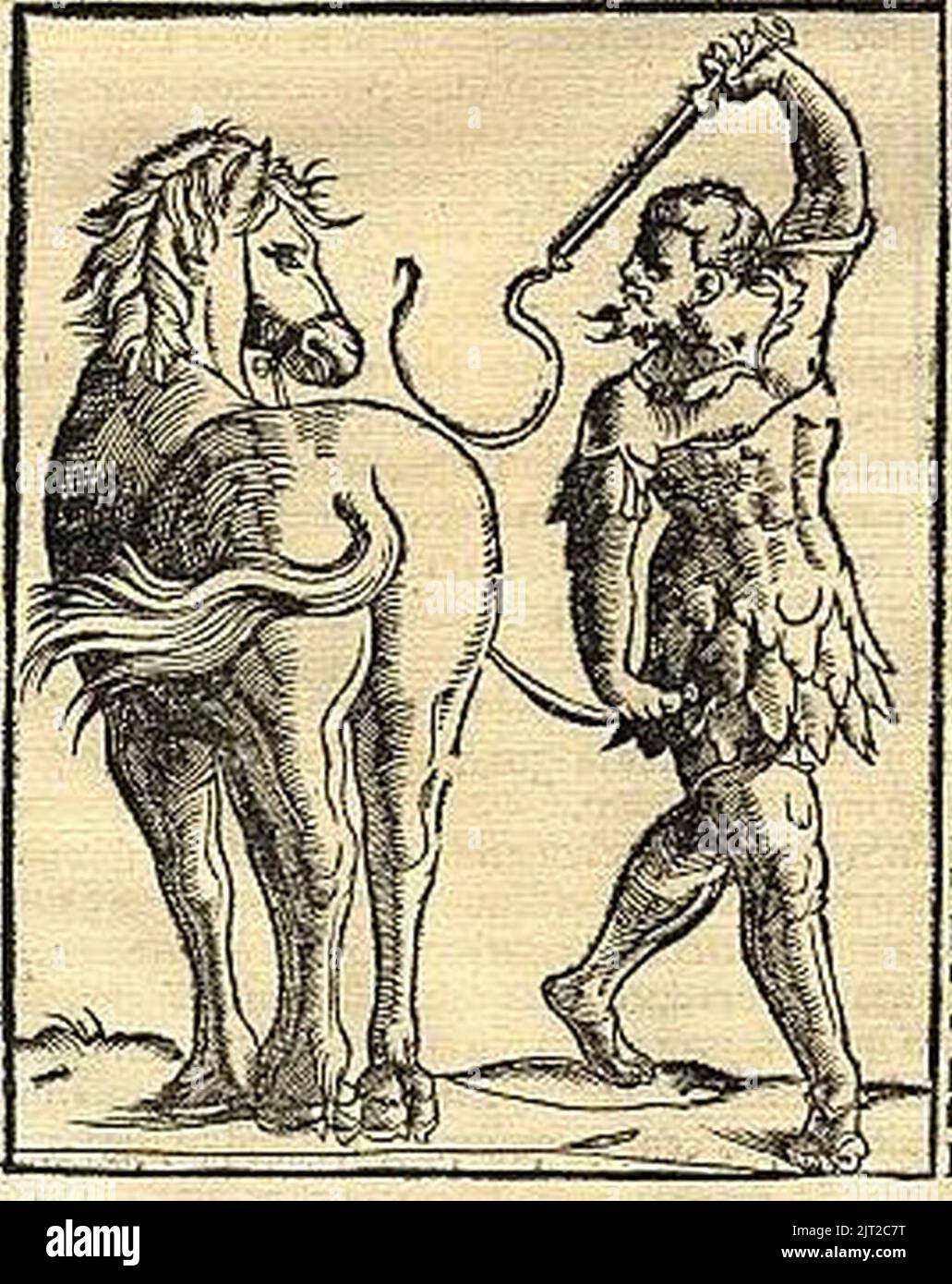 Training of Bucephalus from Cosmographia (1544) by Sebastian Münster ...