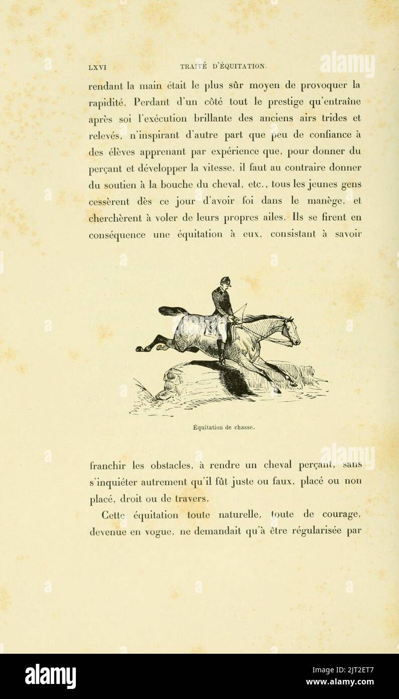 Equiline Chaussettes Équitation Phosphate D'Argent - Chaussettes Longues Antitranspirantes Pour Cavaliers