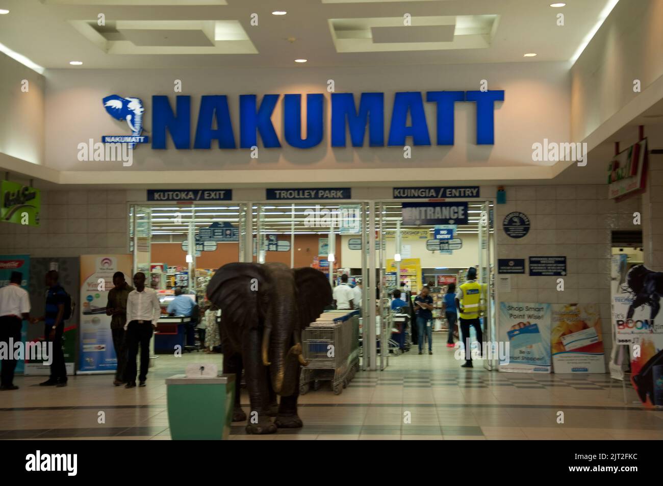 Shopping Mall, DaresSalaam, Tanzania, Africa. Elephant in shopping
