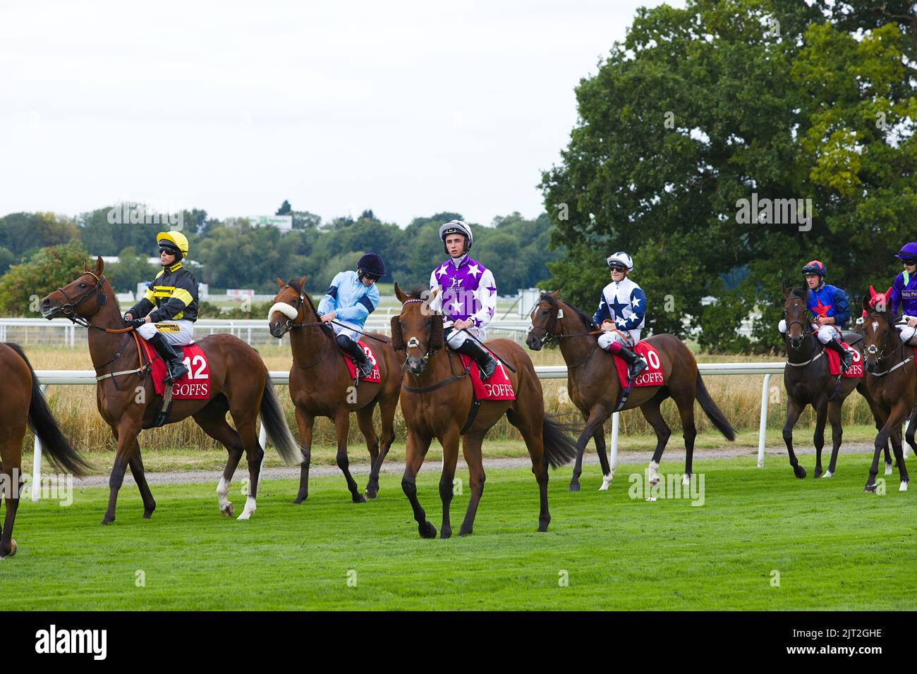 A group of jockeys ride their horses to the start during the Ebor Festival at York Races. Stock Photo