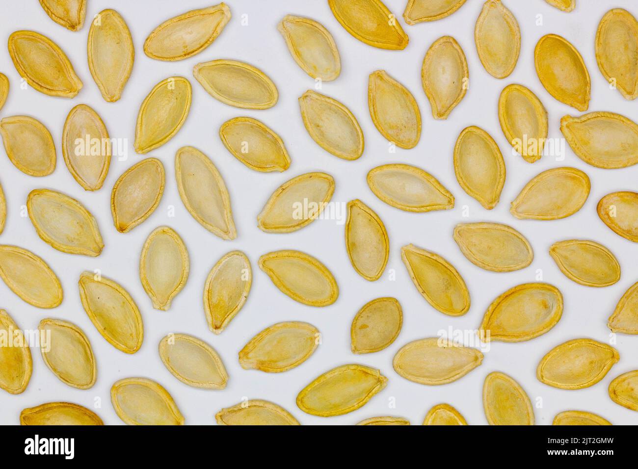 Dried pumpkin seeds in husks. Yellow pumpkin seeds on a white
