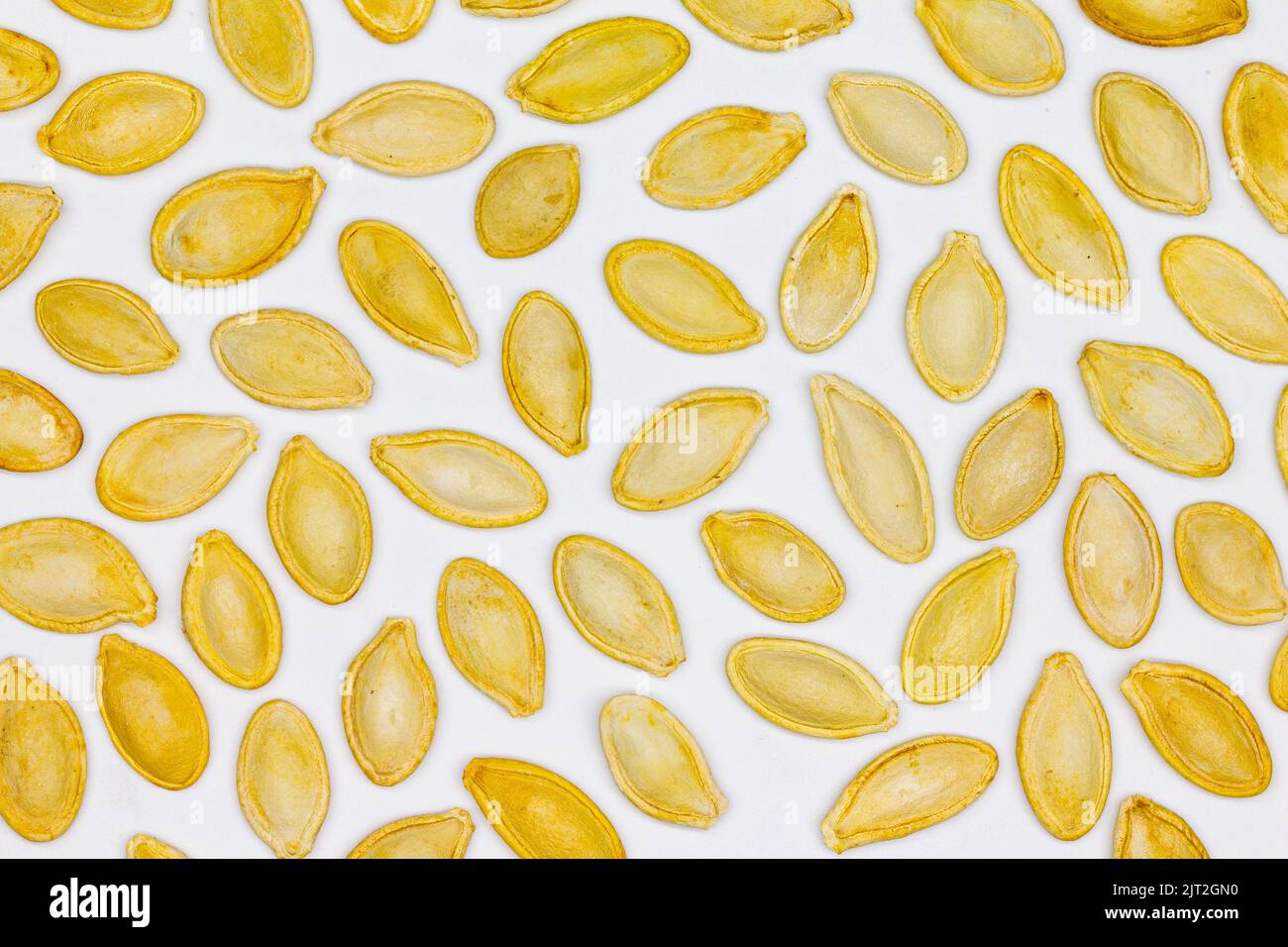 Dried pumpkin seeds in husks. Yellow pumpkin seeds on a white