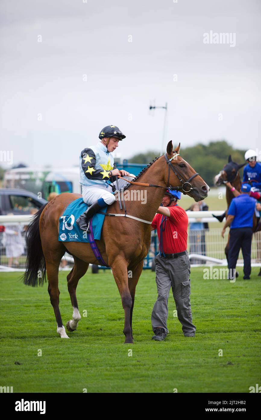 Jockey Sam James on Lion Tower at York Races Stock Photo Alamy