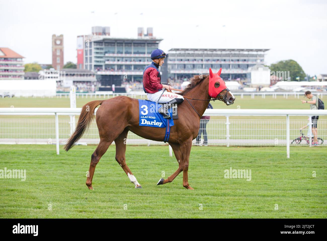 Jockey Tom Marquand on Lilac Road at York Races. Stock Photo