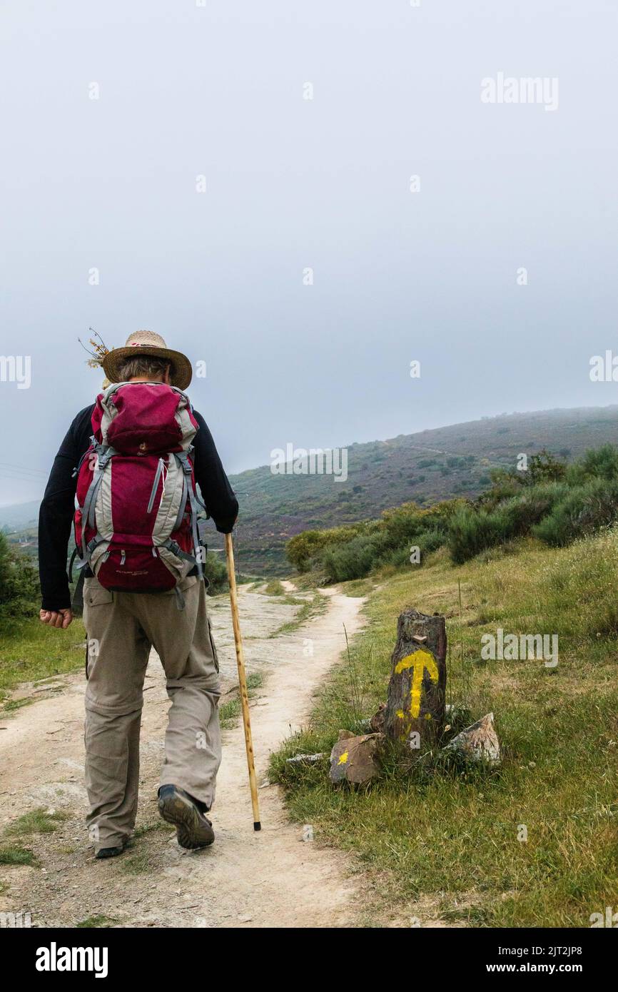 morning on the camino, pilgrim walks up the hill past the yellow arrow, Camino Sign, near Molinaseca Castilla y Leon, Spain Stock Photo