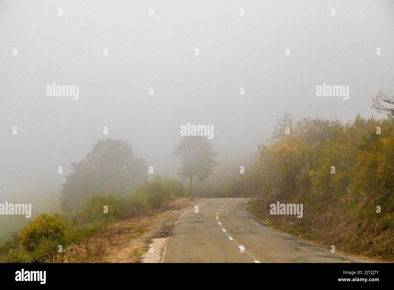 Foggy Camino Morning at El Acebo de San Miguel, Castilla y Leon, Spain. Stock Photo