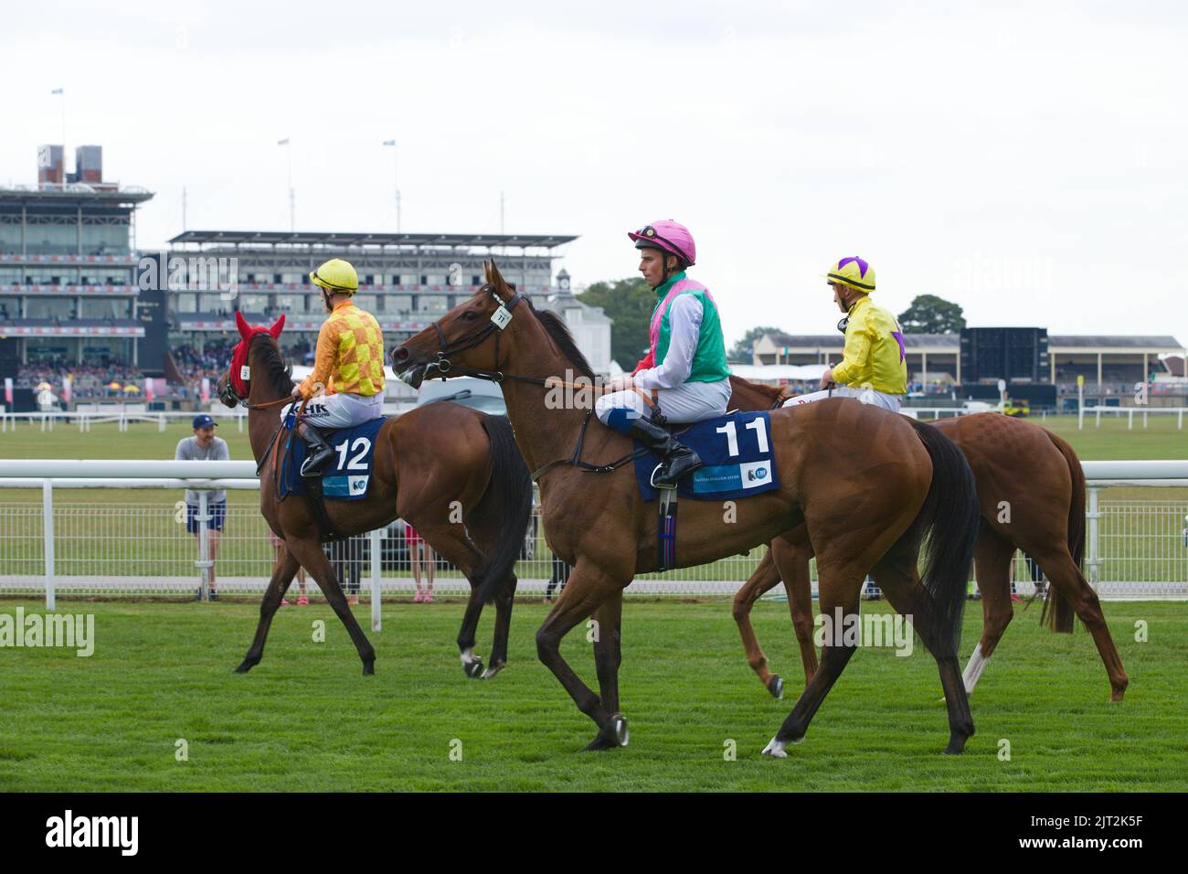 Left to right: Jockeys David Egan, William Buick and Tom marquand waiting before the start of a race at York Racecourse during the Ebor Festival. Stock Photo