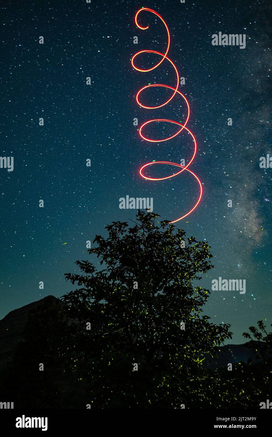 A vertical shot of a tree under the night starry sky with a painted ...