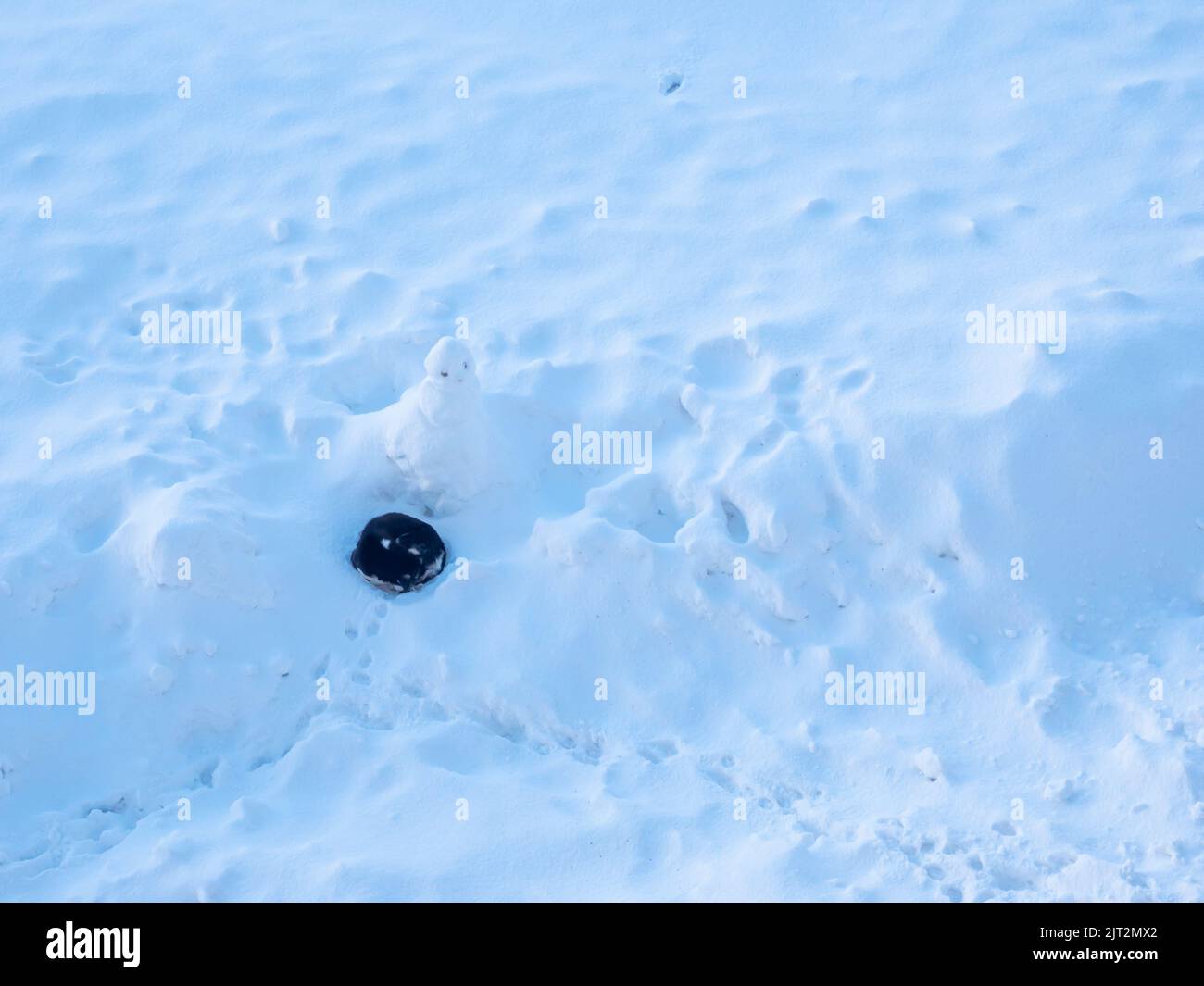 Beautiful himalaya snow hi-res stock photography and images - Alamy