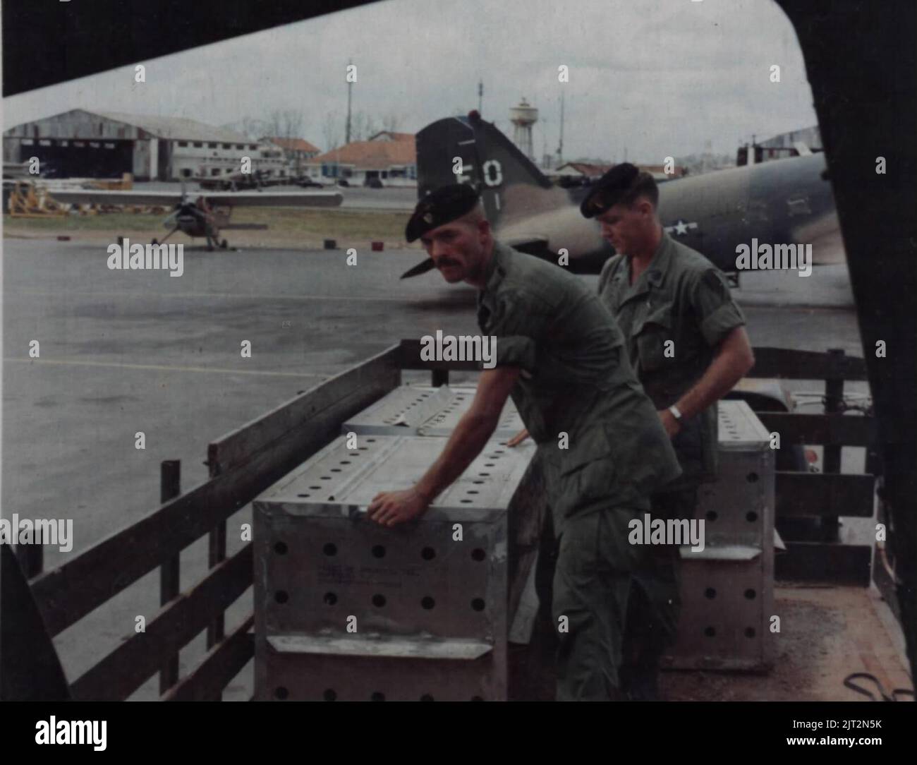 Transferring newly arrived scout dogs, Bien Hoa Air Base, November 1968. Stock Photo
