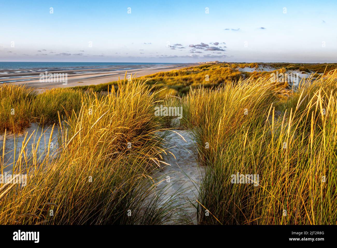 Stunning Seaview with dunes and marram grass in the foreground Stock Photo