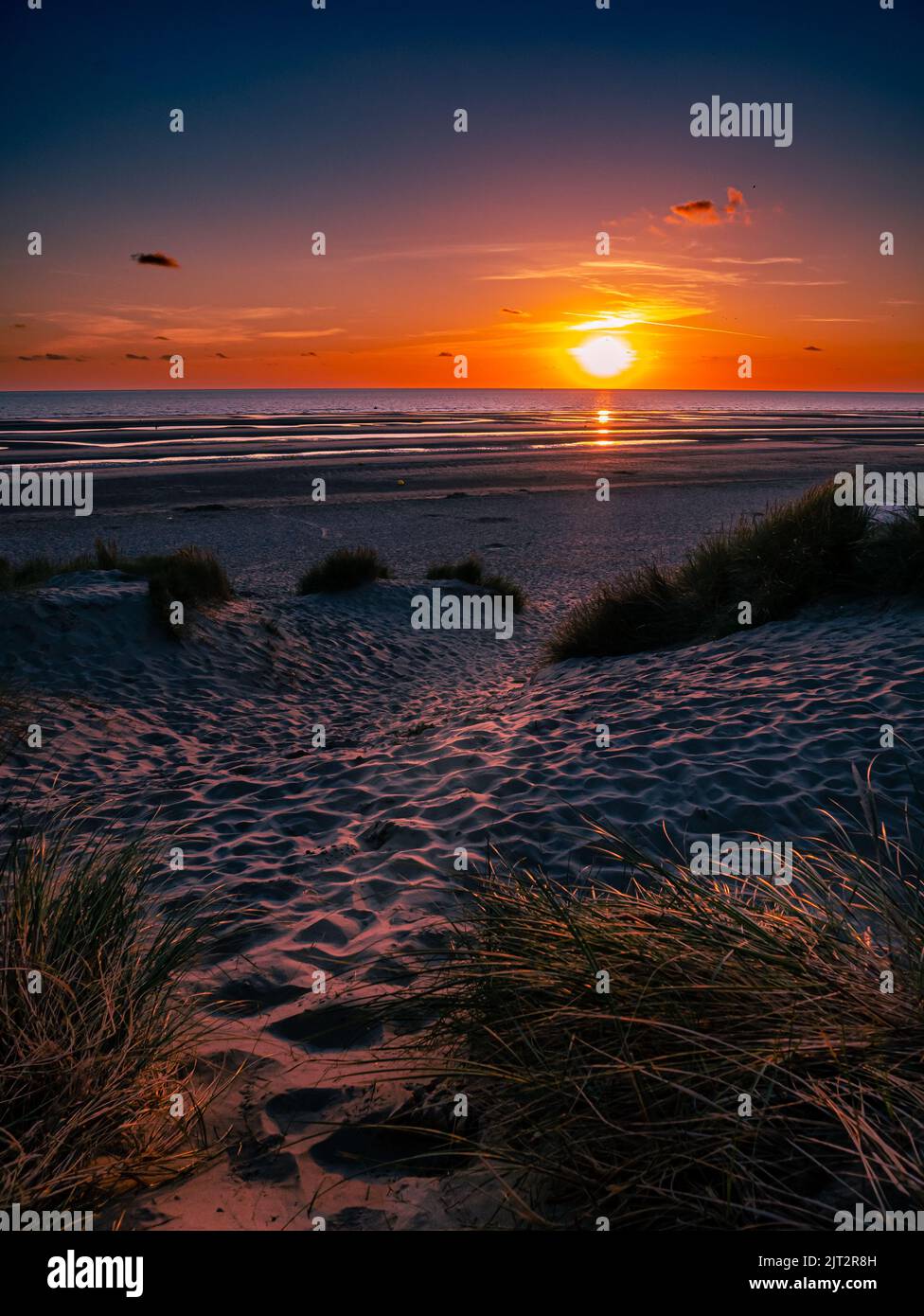 Colorful sun setting into the sea seen from marram grass covered dunes Stock Photo
