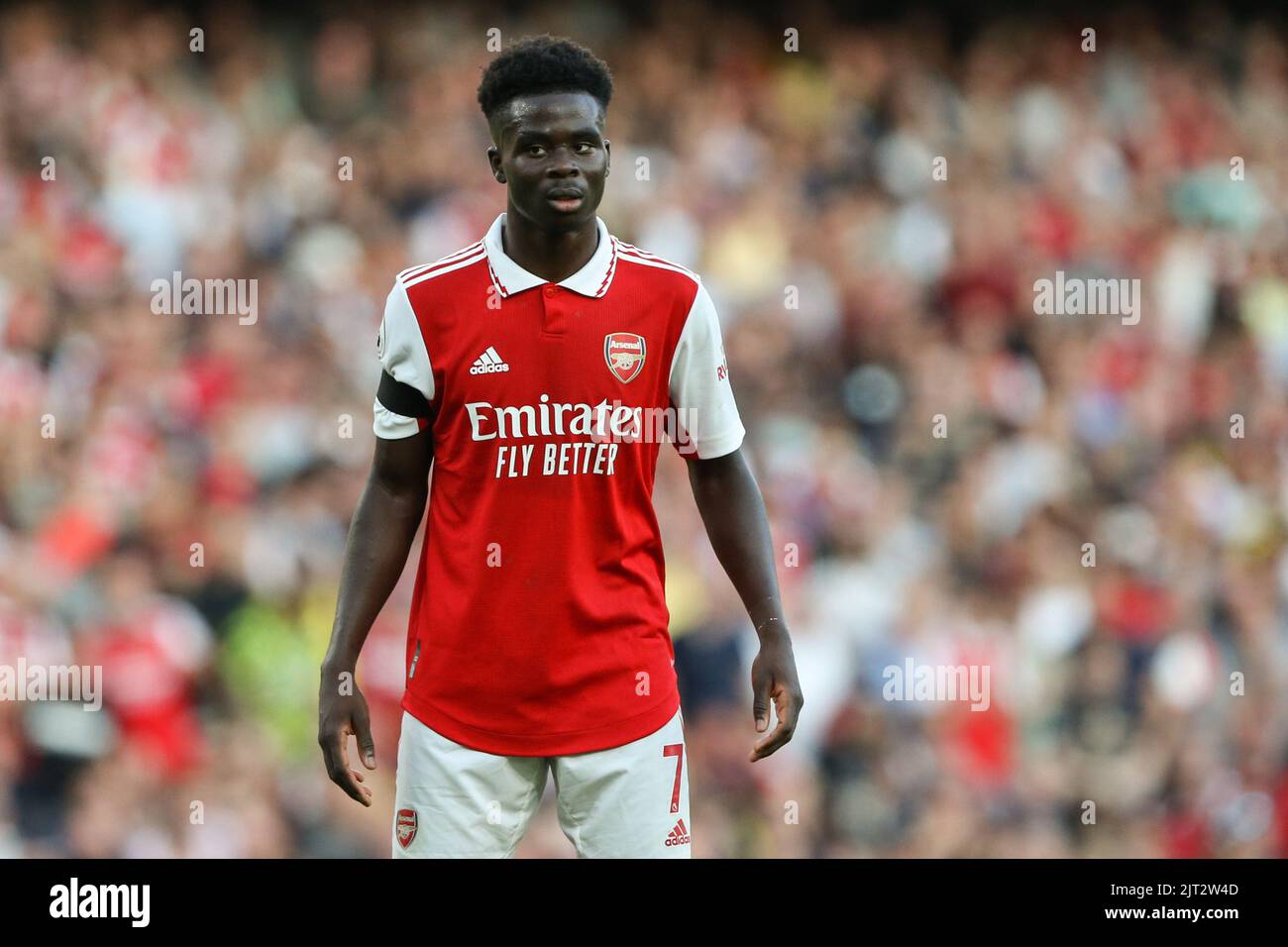 Saka 7 hi-res stock photography and images - Alamy