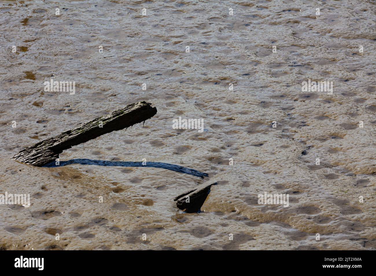 Abstract image of rotting wood protruding from a mudflat at low tide in Steveston British Columbia Canada Stock Photo