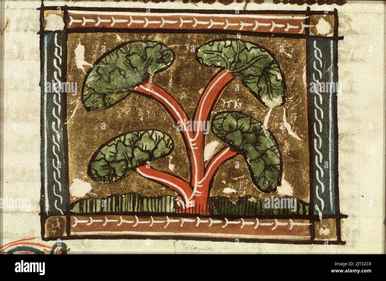 Tree - Der naturen bloeme - Jacob van Maerlant - KB KA 16 - 136r b1 ...