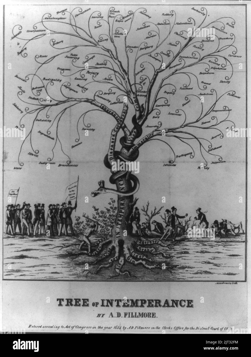 Tree of intemperance Stock Photo - Alamy