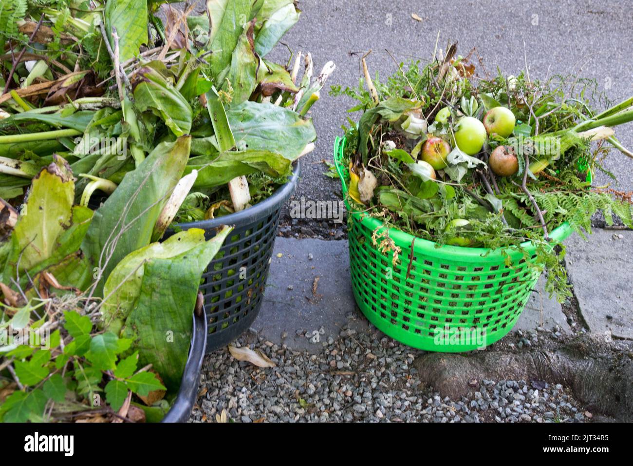 Garden weeds hi-res stock photography and images - Alamy