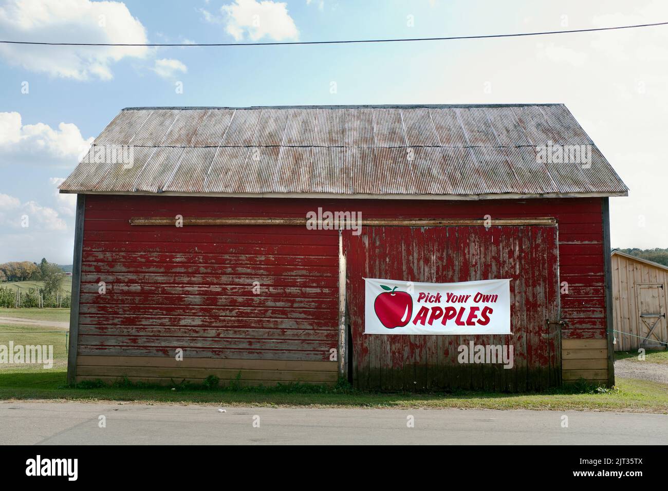 Weathered Red Barn at Apple Orchard Stock Photo