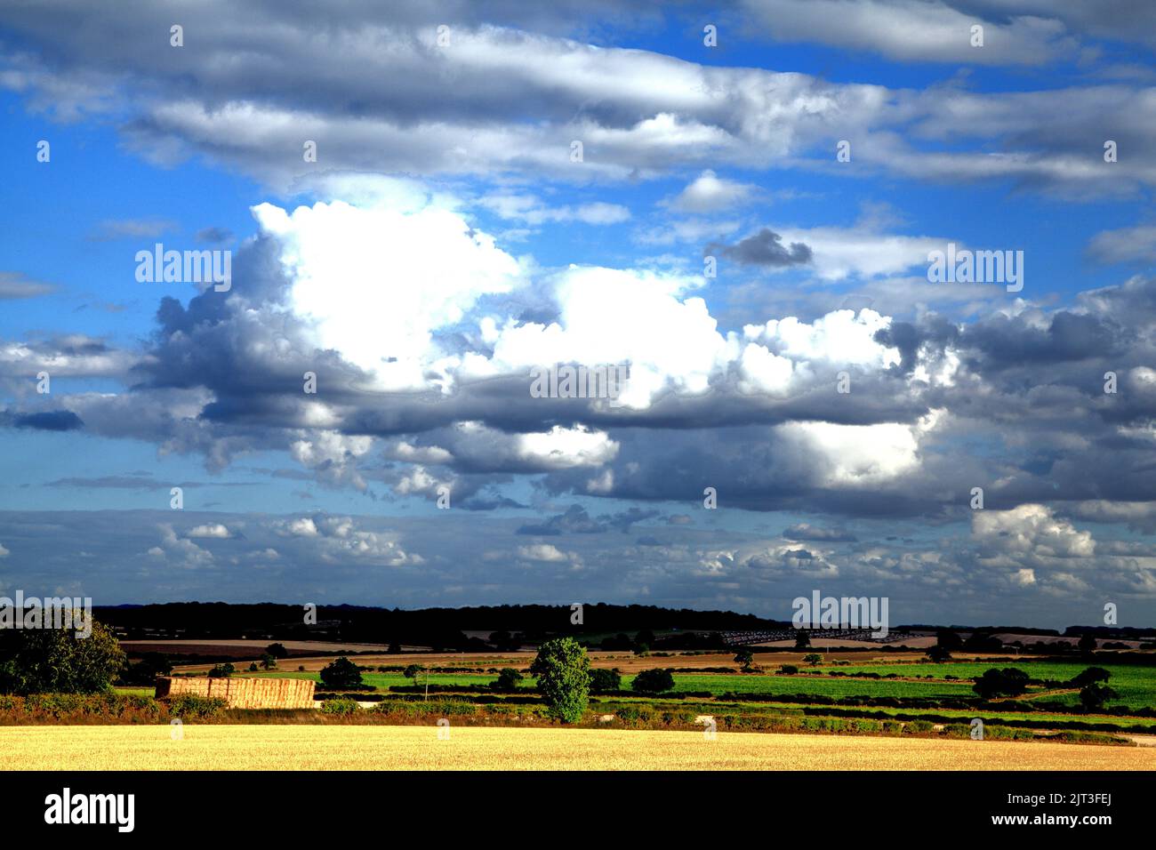 White cumulus clouds, blue sky, skies, cloud, weather, meteorology, rural landscape, scenery, Norfolk, England, UK Stock Photo