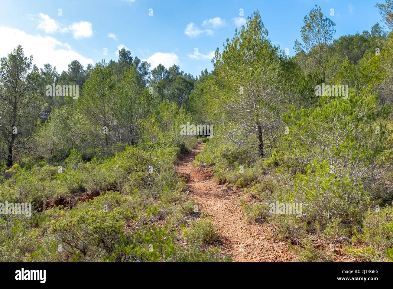 A hiking trail in southern France scrubland with no people, taken on a sunny early spring day Stock Photo