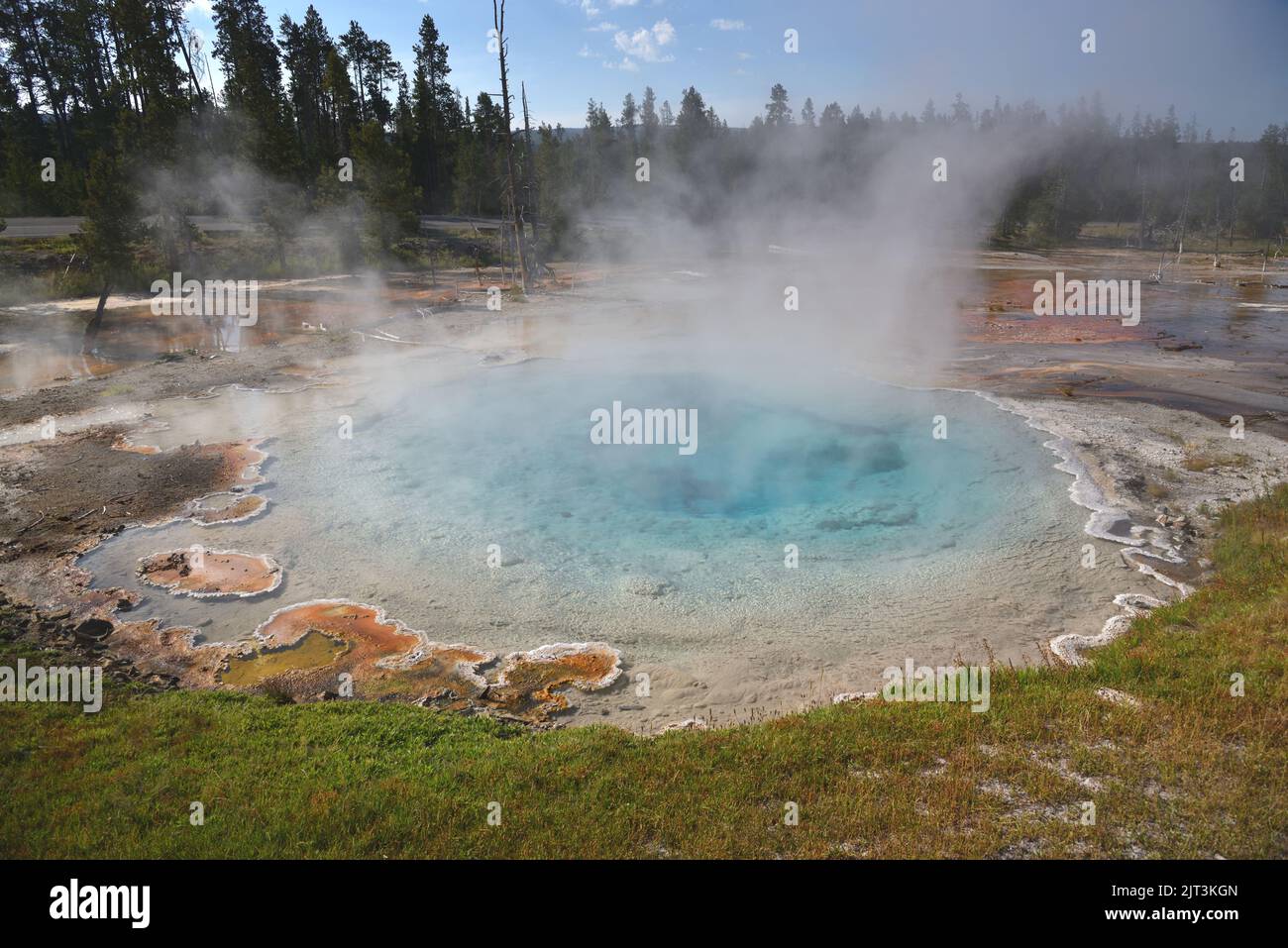 Hot springs in Yellowstone National Park Stock Photo Alamy